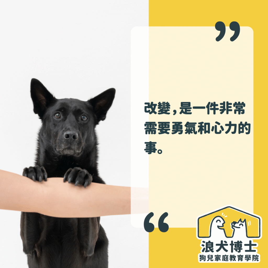 浪犬博士 一對一