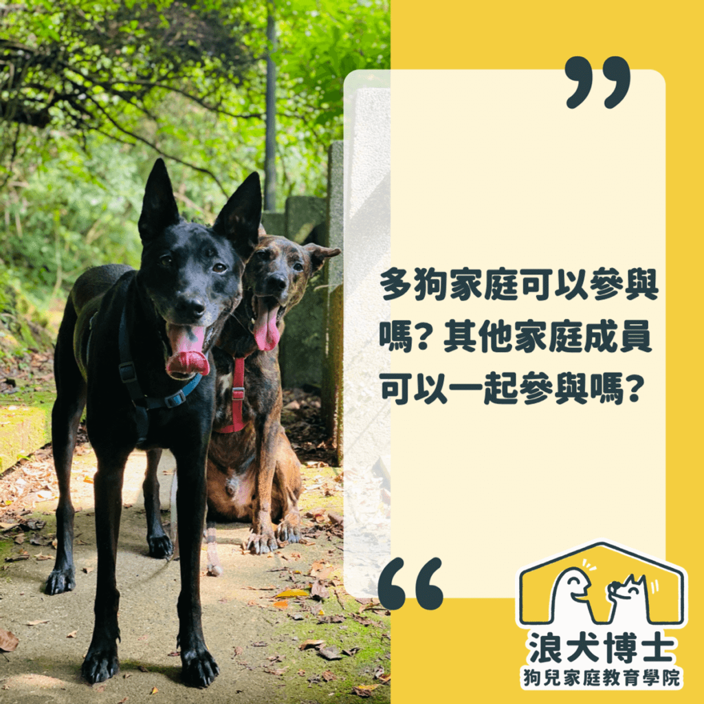 一對一常見問題一 浪犬博士