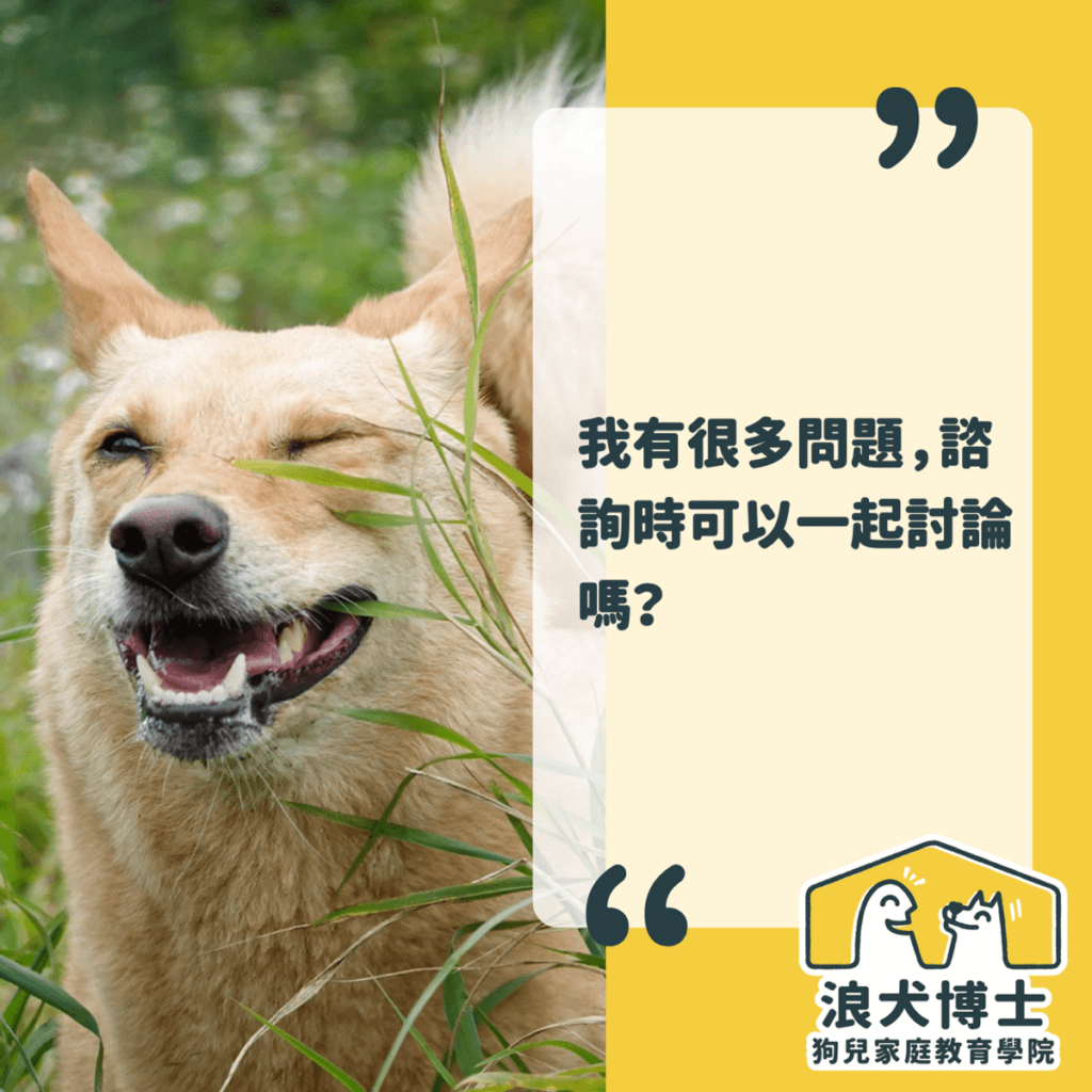 一對一常見問題二 浪犬博士
