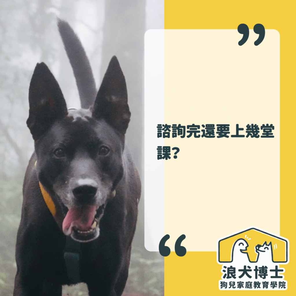 一對一常見問題三 浪犬博士