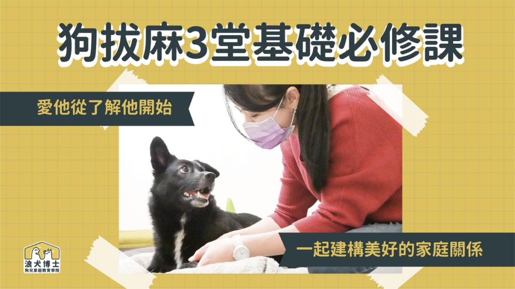 狗拔麻三堂必修課
