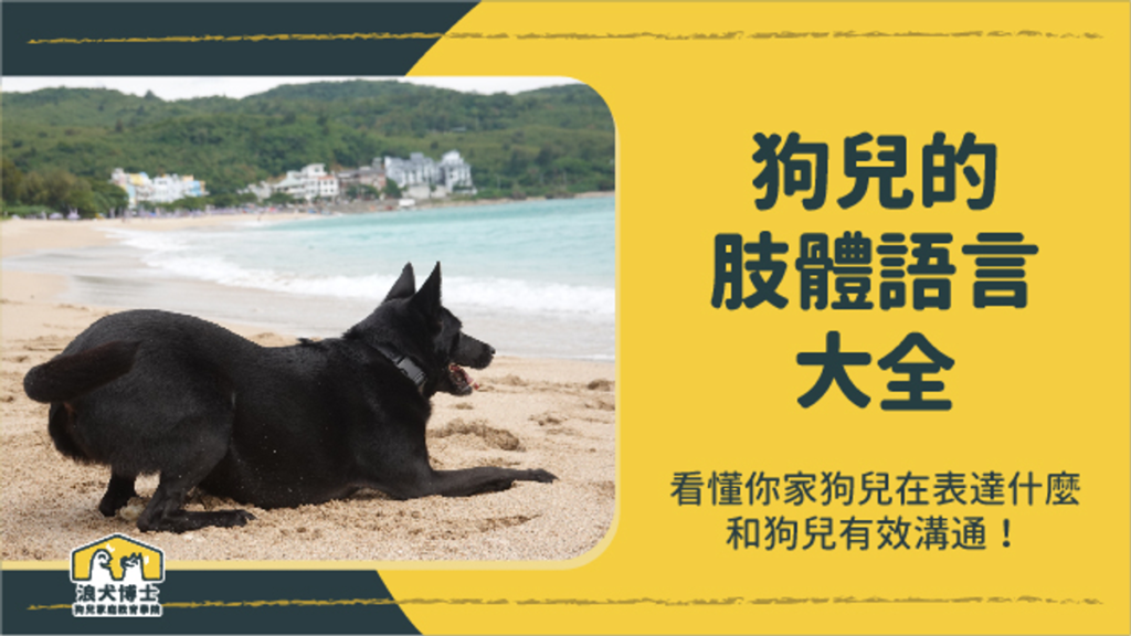 狗兒的肢體語言大全