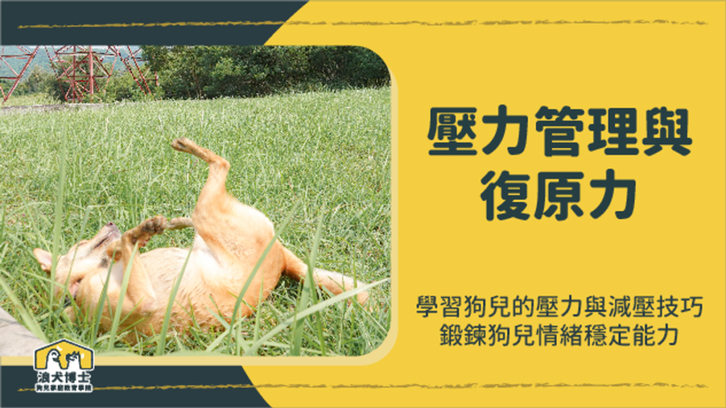 壓力管理與復原力講座