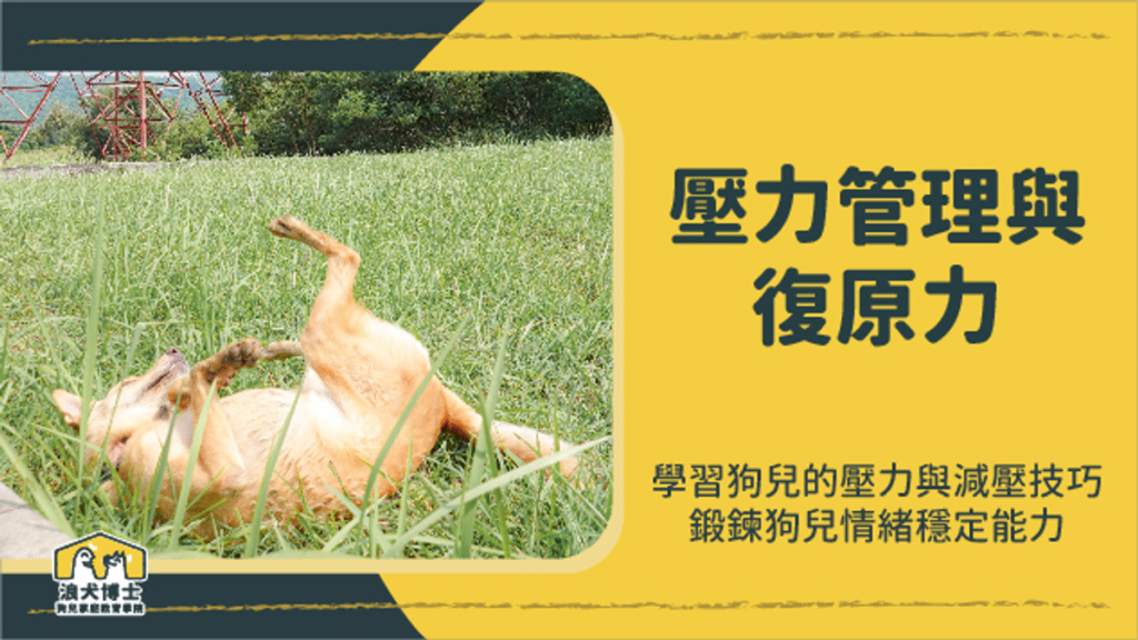 狗狗壓力與復原力