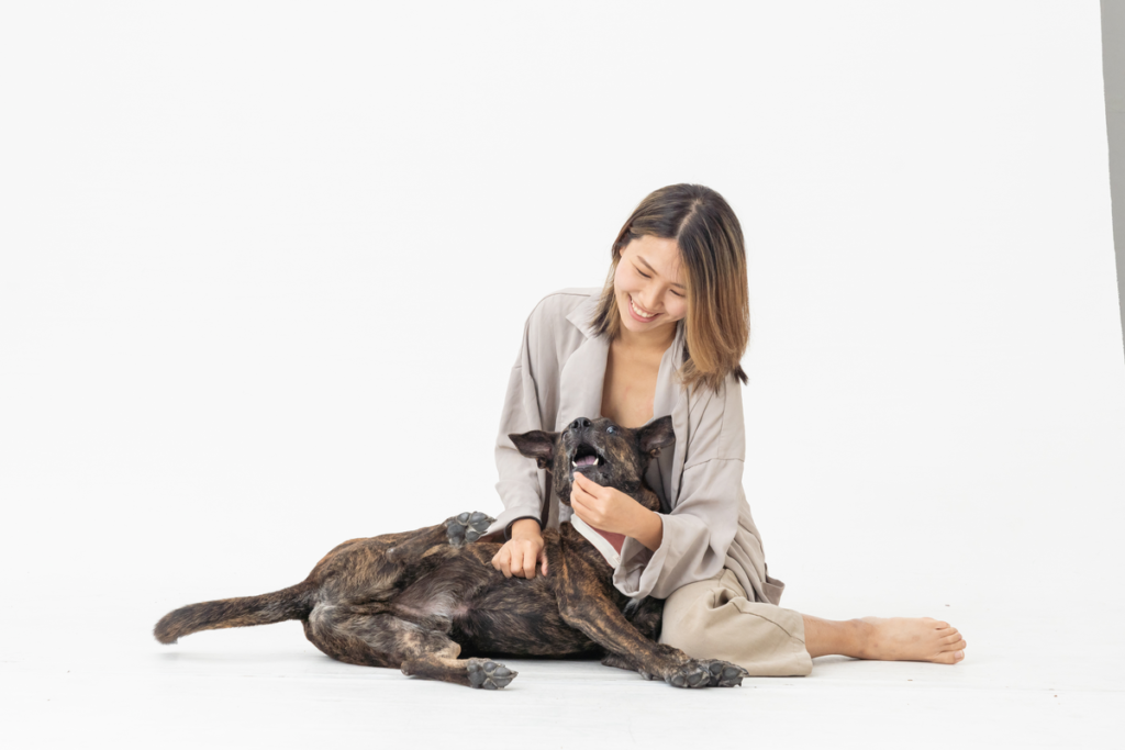 狗聽得懂人話嗎 訓練狗狗 教導狗狗