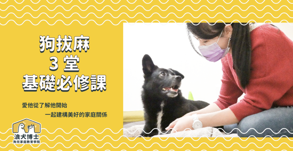 狗拔麻三堂基礎必修課