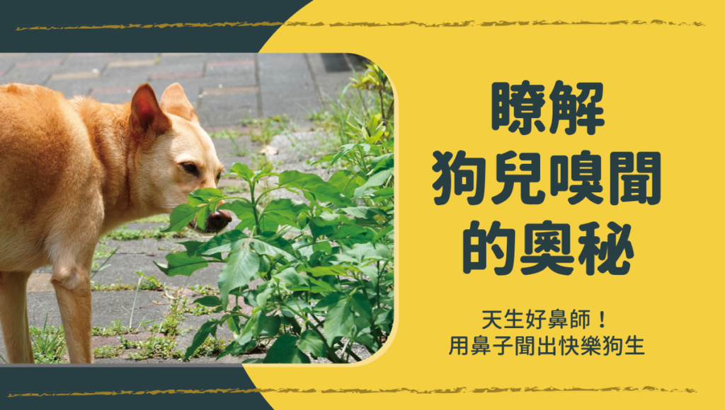 瞭解狗兒的嗅聞奧秘