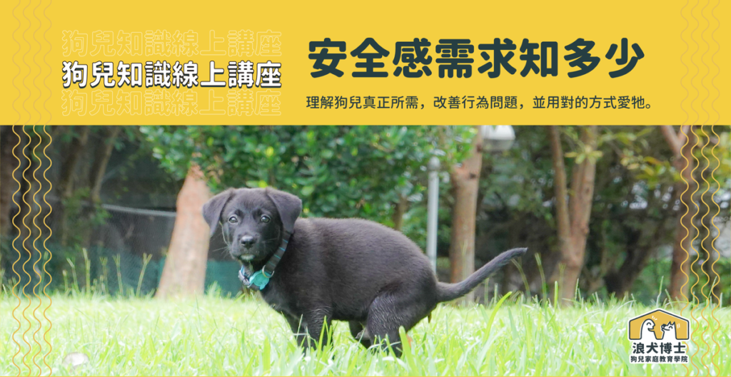 安全感與五大需求講座 浪犬博士