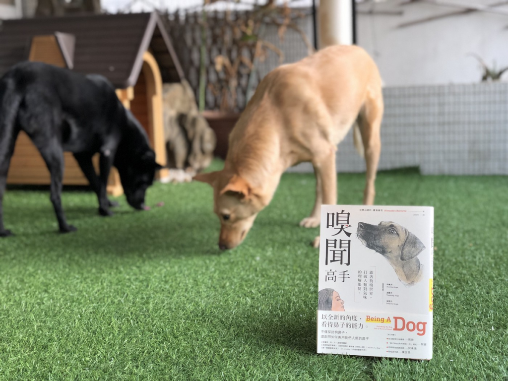 狗狗滾草地 狗狗洗澡