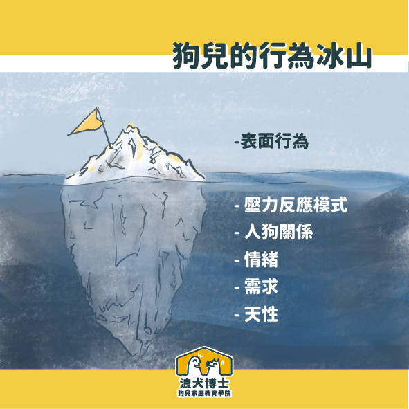 狗狗分離焦慮 行為冰山