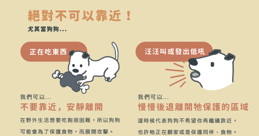 流浪狗