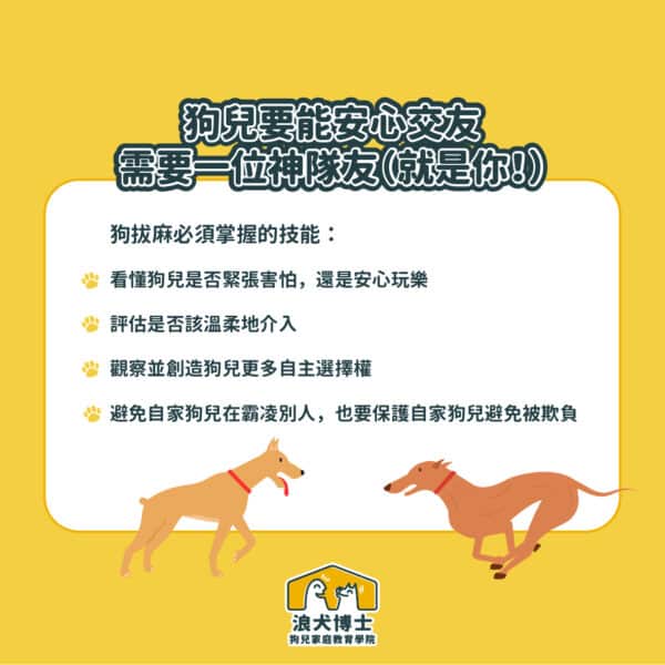 狗狗社交 狗公園