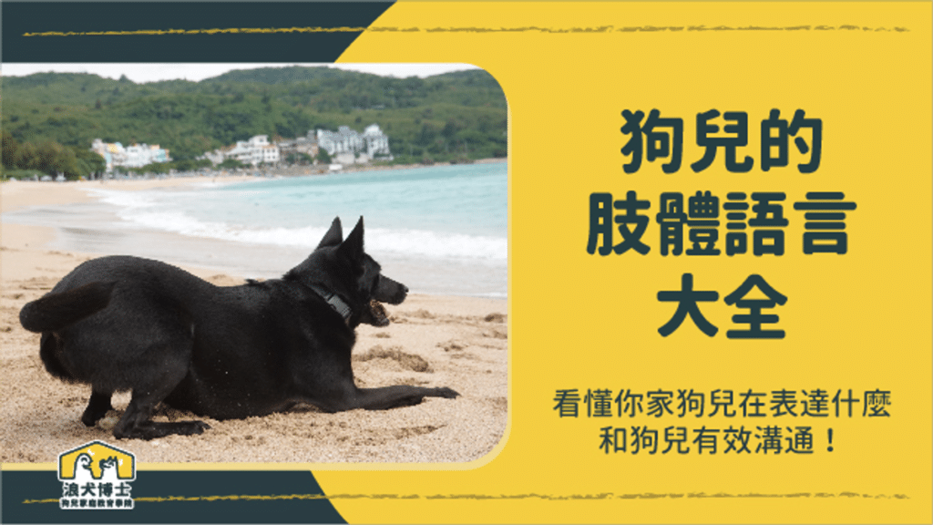 狗兒的肢體語言大全