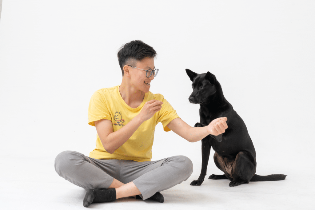 幼犬 幼犬照顧 成犬