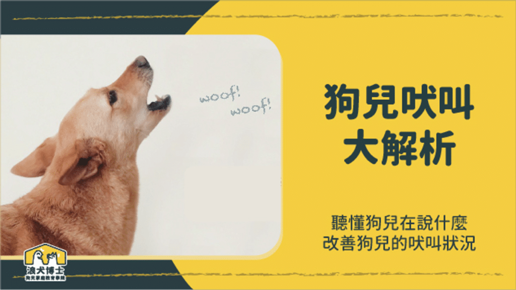 狗兒吠叫解析