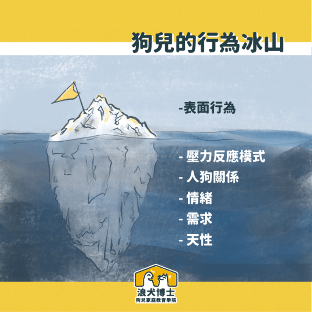 狗狗追尾巴 幼犬 狗狗行為