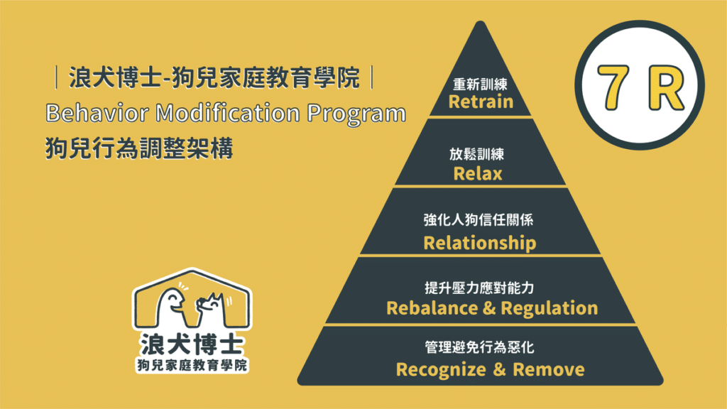 狗狗怕打雷 狗狗害怕 狗狗情緒
