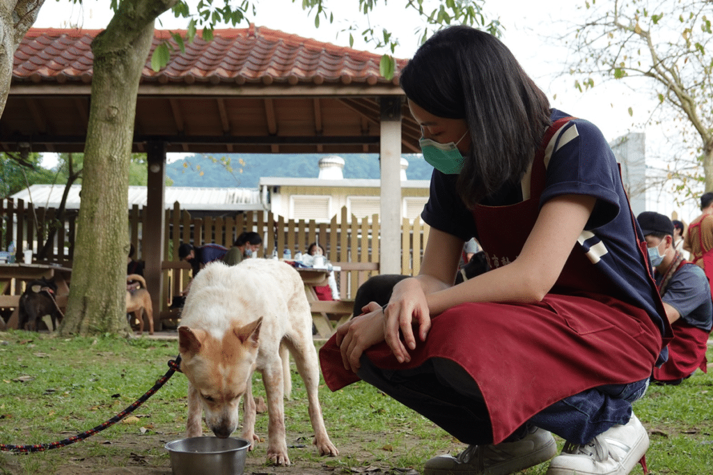 狗狗中暑 狗狗散步 狗體溫