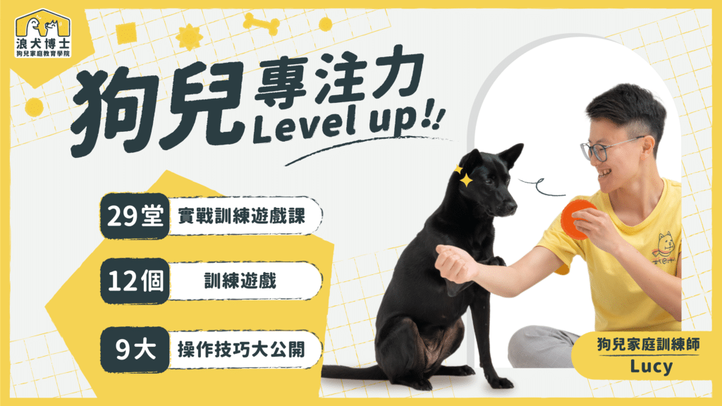 狗兒專注力 Level Up