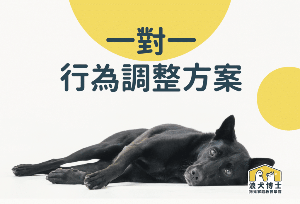 一對一行為調整方案