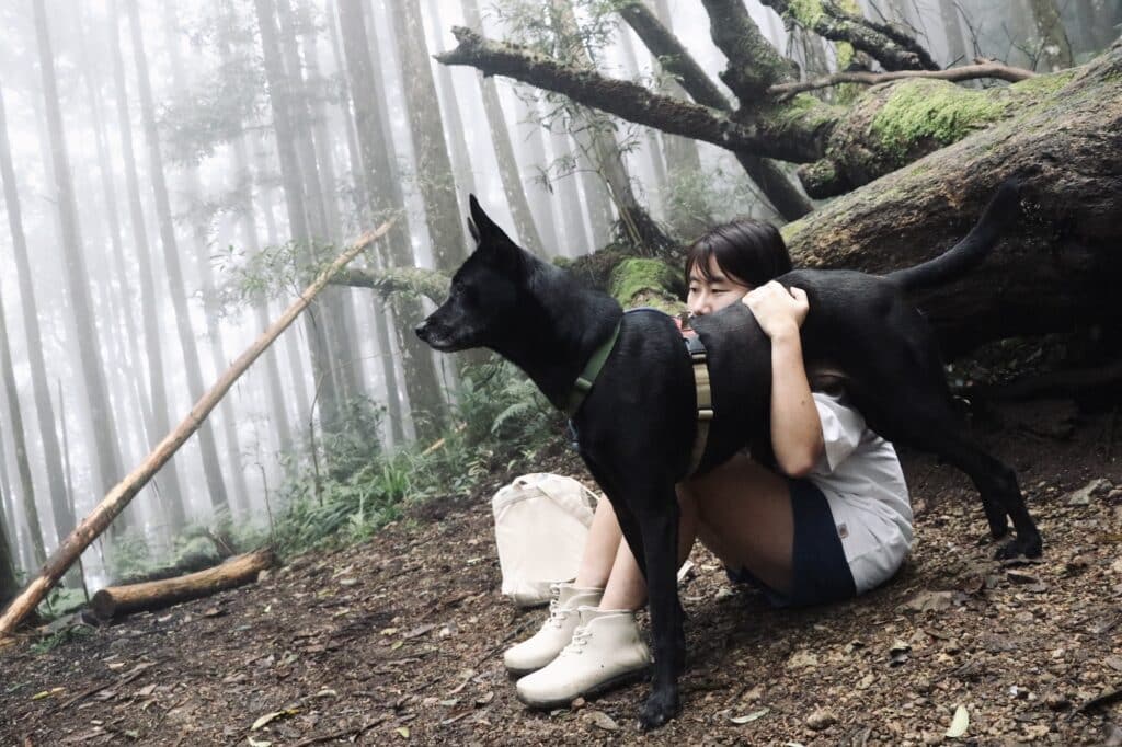 養狗 狗狗適應新環境