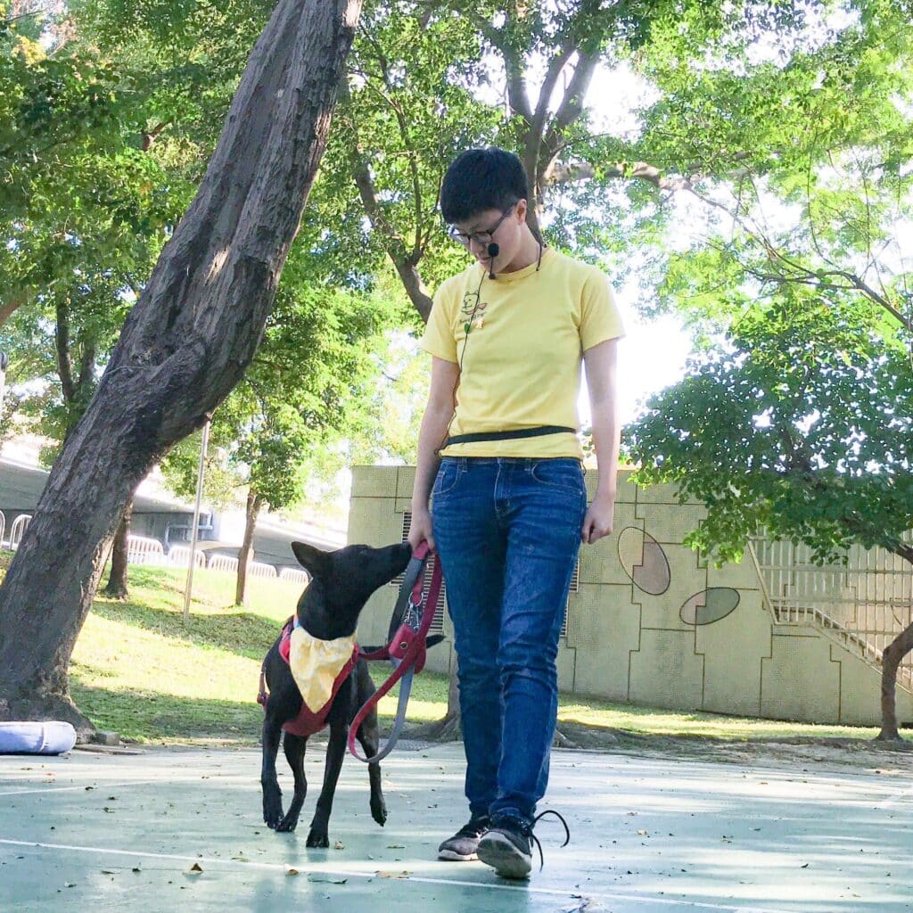 狗公園 狗狗社交