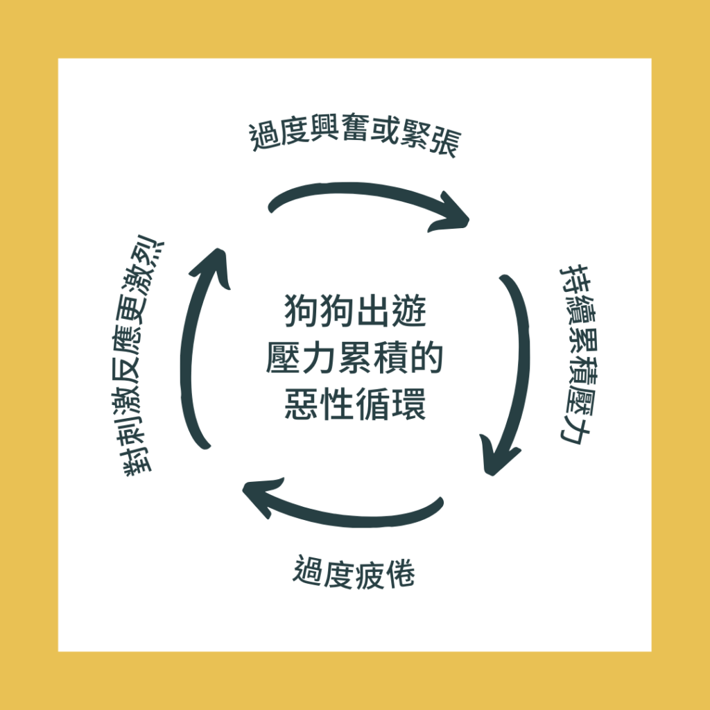 狗狗睡覺 狗窩 狗狗半夜不睡 狗狗出遊覺
