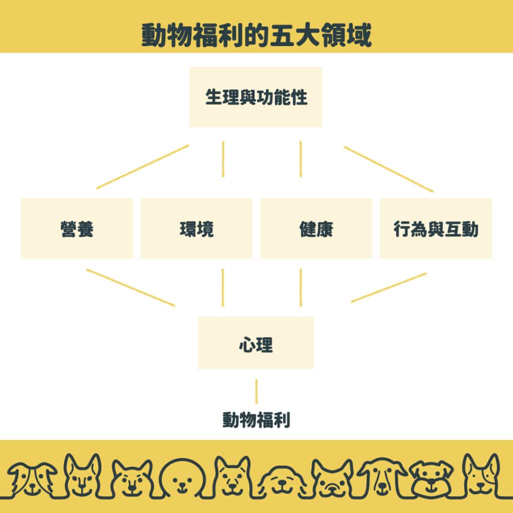 動物福利的五大領域