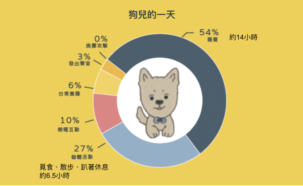狗狗一天生活作息:狗睡眠時間、運動散步、日常養護及互動等