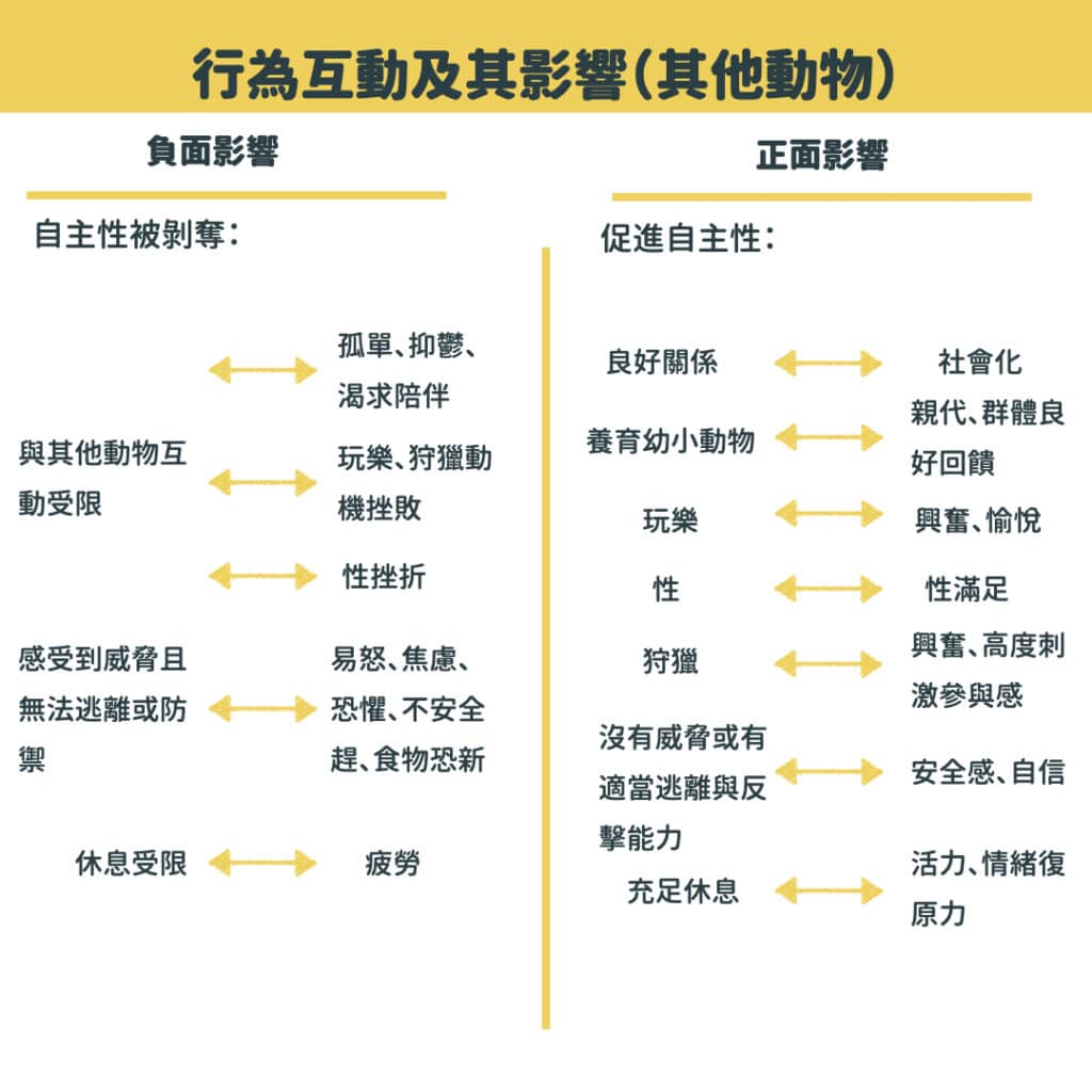 動物福利 行為互動及其影響 其他動物