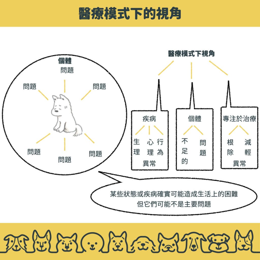 醫療模式下視角的狗行為