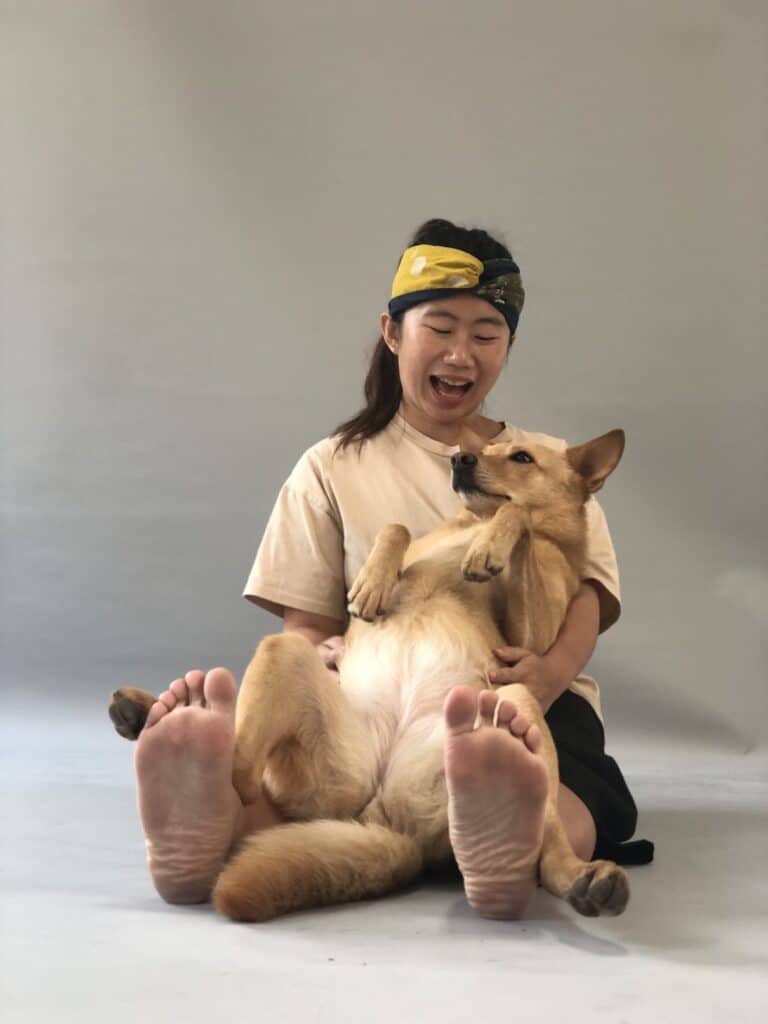 狗狗訓練 狗狗遊戲
