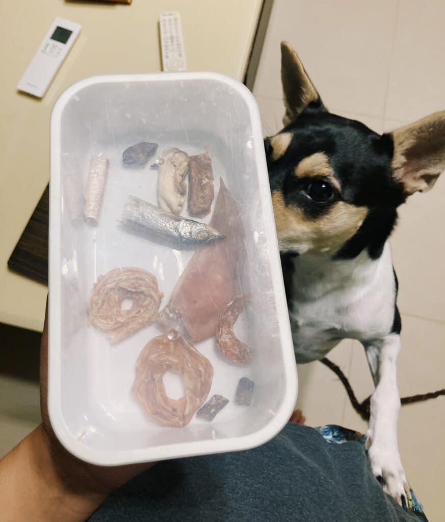 狗零食、狗狗食物