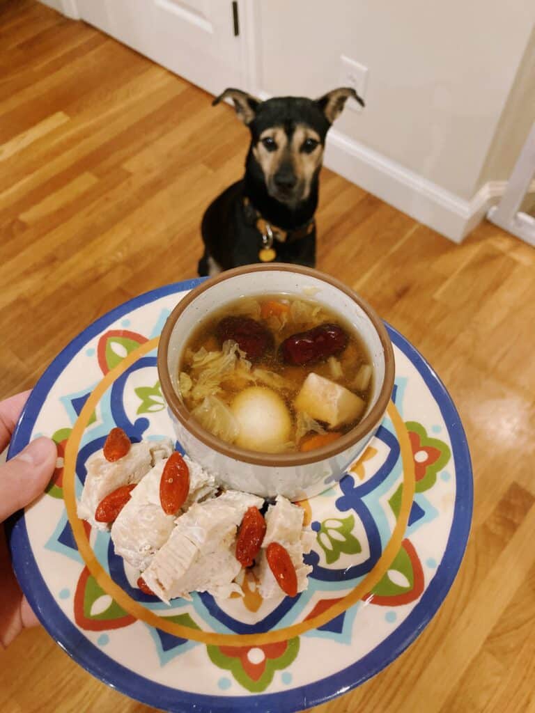 狗狗鮮食 狗狗食物