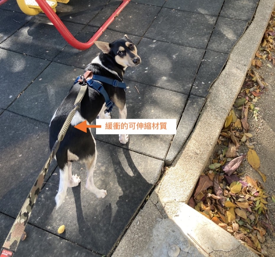 彈性牽繩
