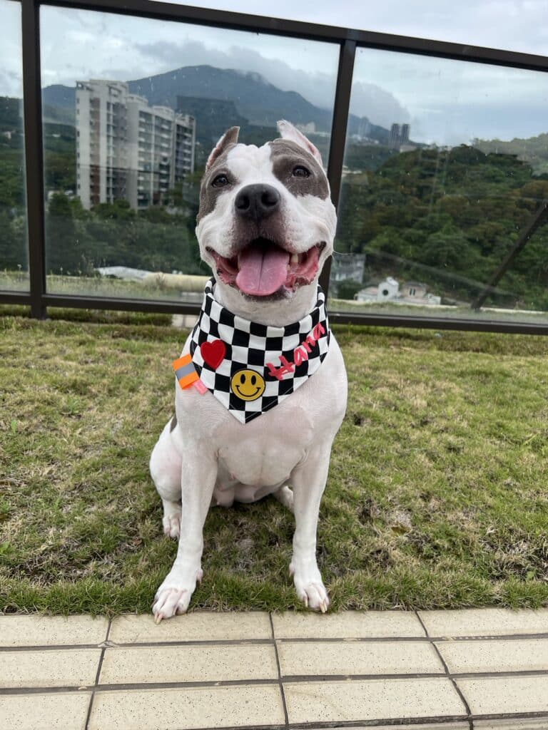Hana 