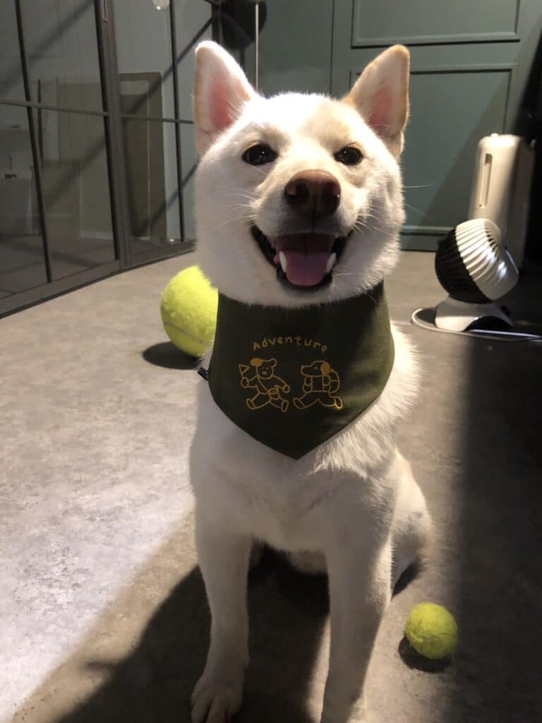 會議室外的天蓬