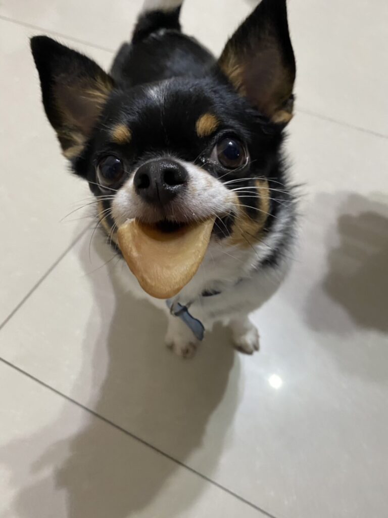 波特啃咬