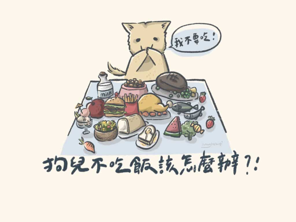 狗狗挑食、狗狗不吃飯