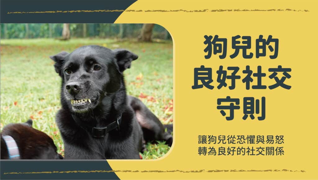 狗兒良好的社交守則