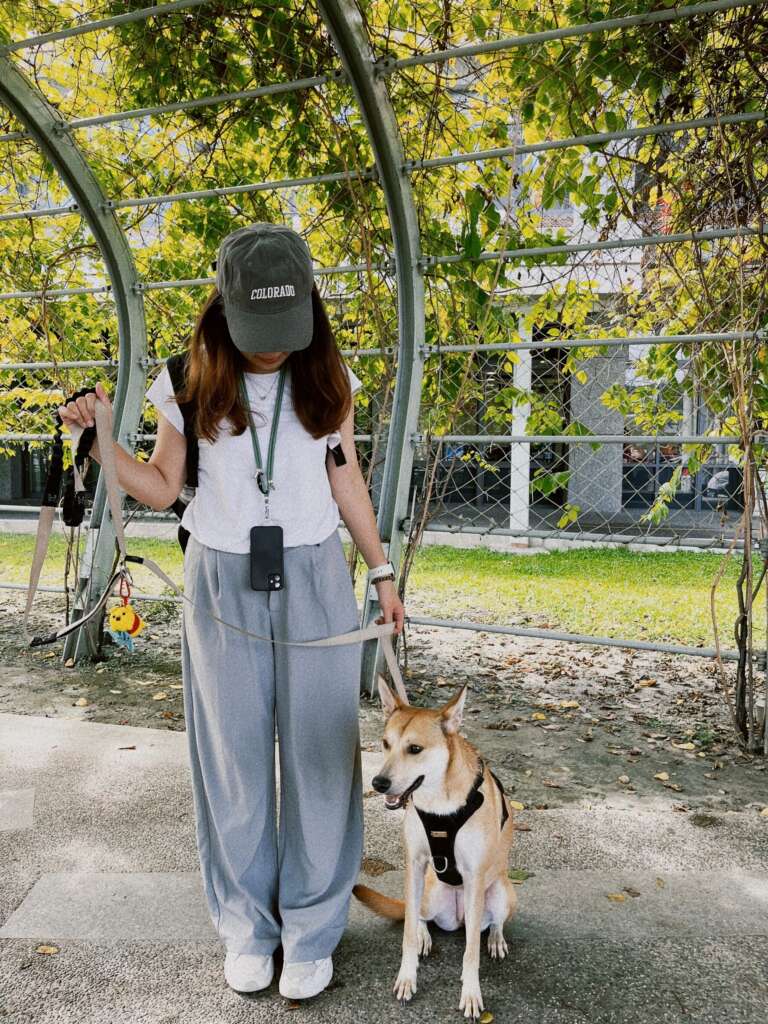 出外散步狗狗暴衝，讓馬麻相當頭痛
