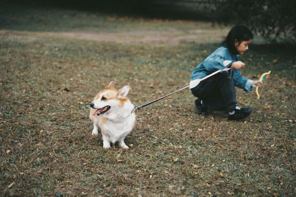 狗狗散步