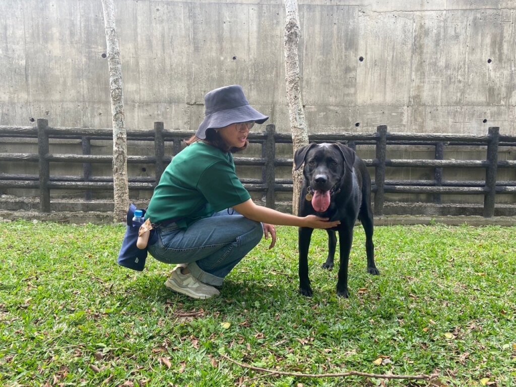 高山犬米克斯萬兩與姊姊的合照