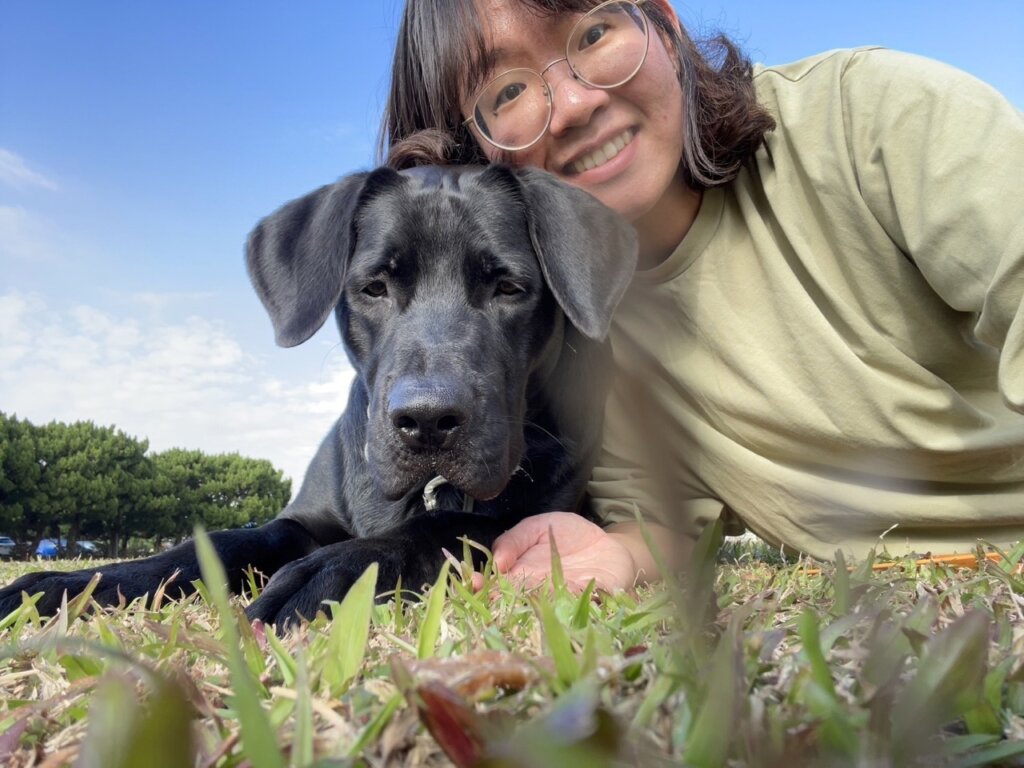 高山犬米克斯萬兩與姊姊